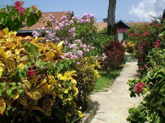 Summerset Residence Negril Zewnętrze zdjęcie